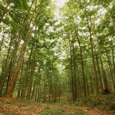 Reed City Wilderness Vista Retreatヴィラ エクステリア 写真