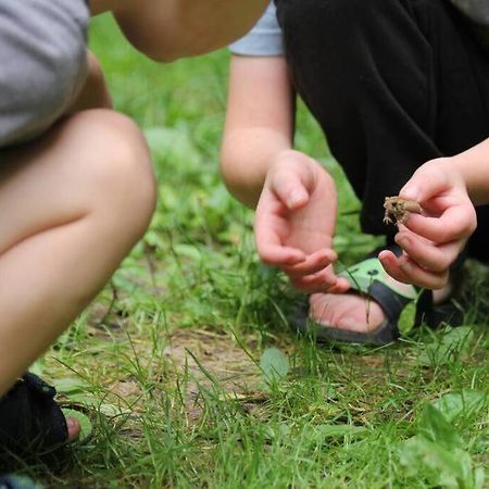 Reed City Wilderness Vista Retreatヴィラ エクステリア 写真