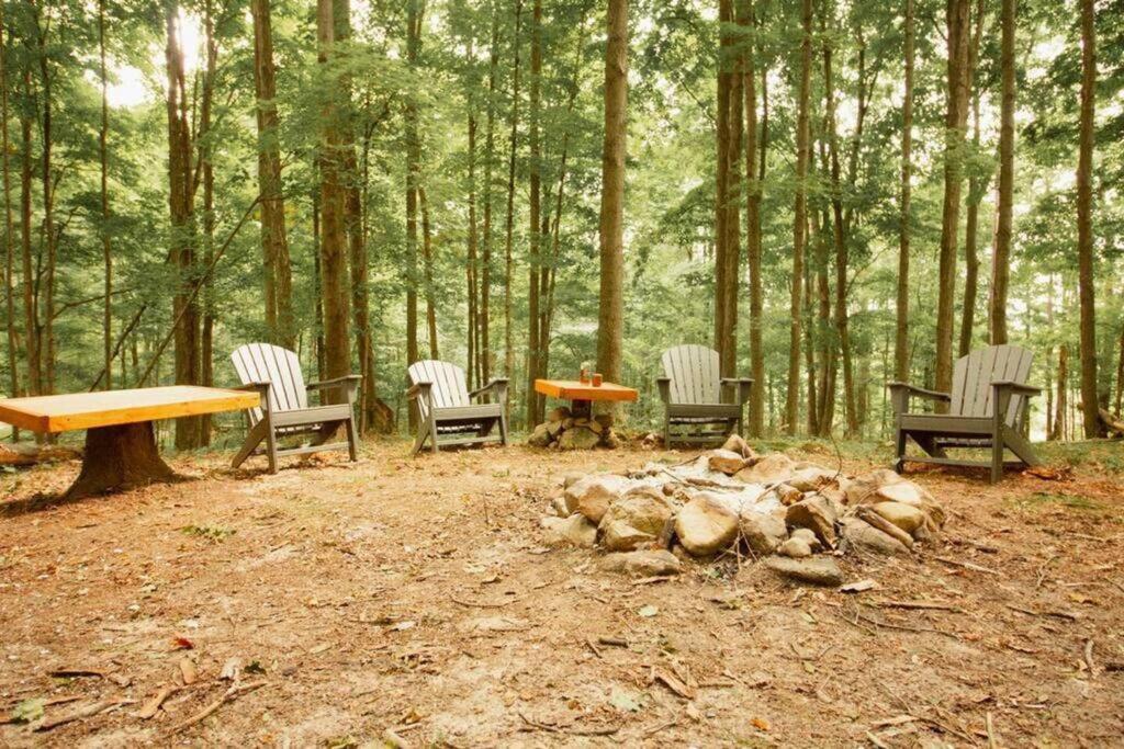 Reed City Wilderness Vista Retreatヴィラ エクステリア 写真