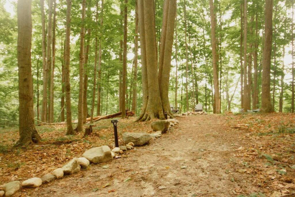 Reed City Wilderness Vista Retreatヴィラ エクステリア 写真