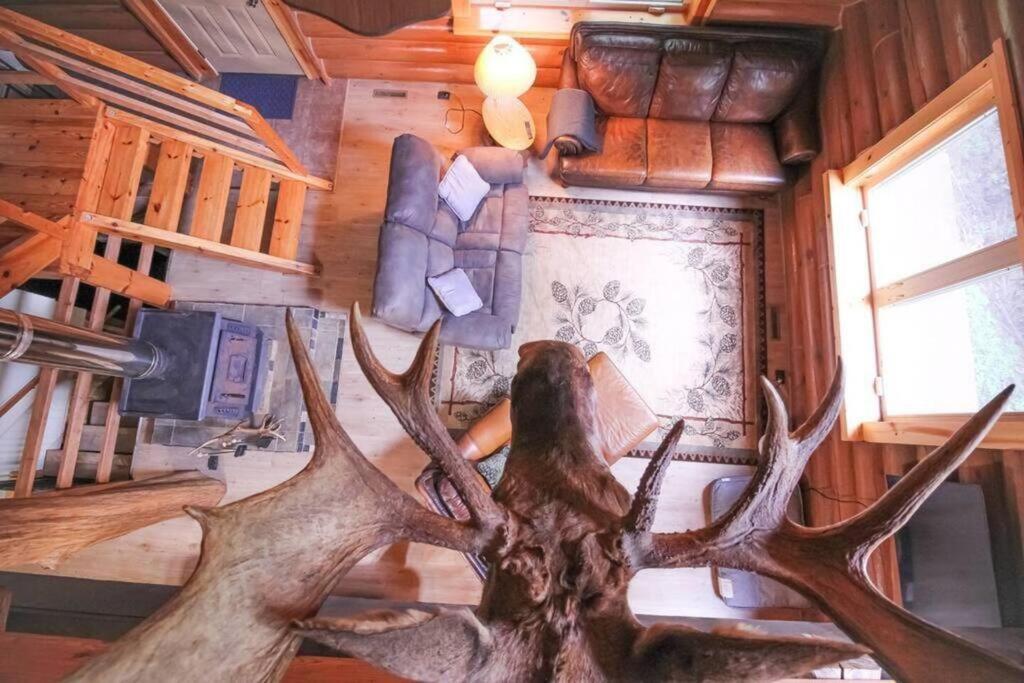 Reed City Wilderness Vista Retreatヴィラ エクステリア 写真